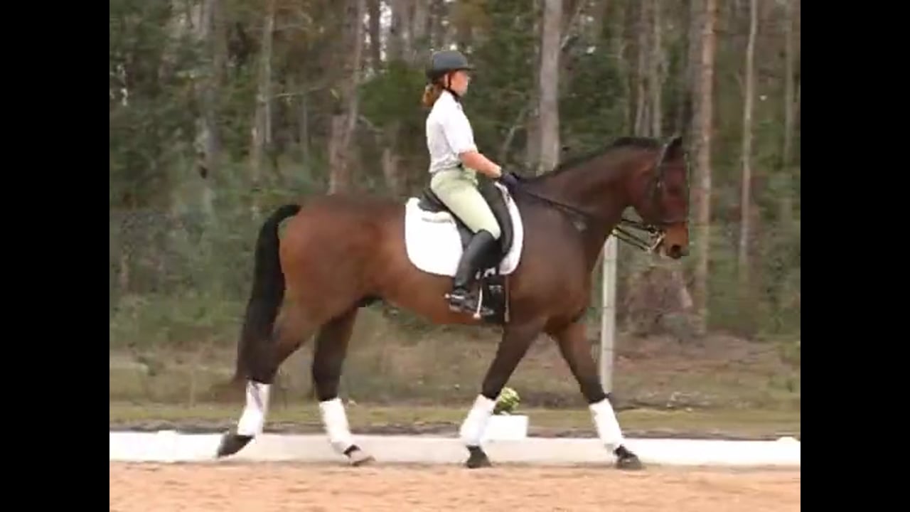 Improving Suppling, Shoulder In and Half Pass | Nancy Later | PART 01