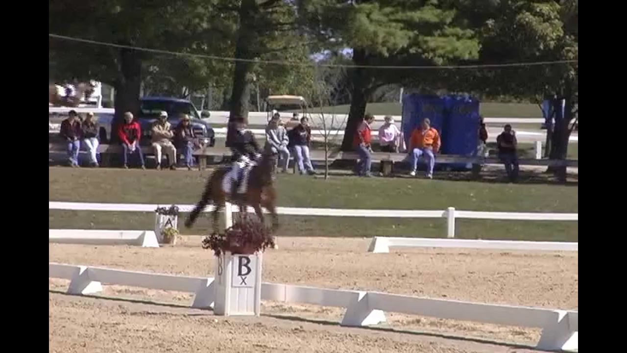 Judging FEI 6 Year Old Young Horse Test | Natalie Lamping