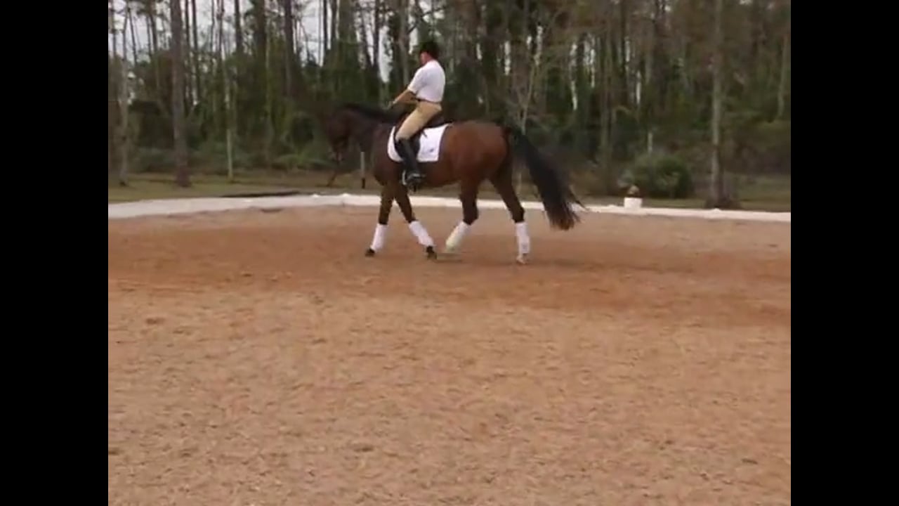 The Basics, Counter Canter, and Flying Changes | Nancy Later | PART 01