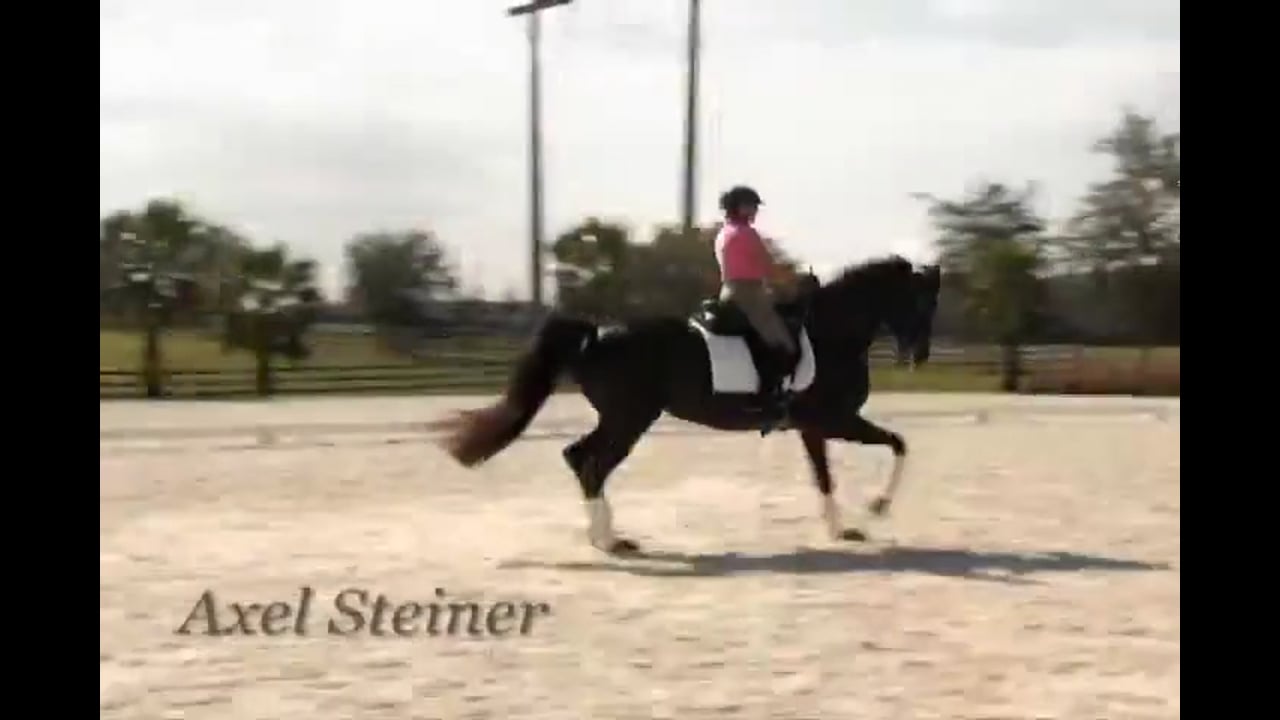 Moving from Third to Fourth | Axel Steiner | PART 04