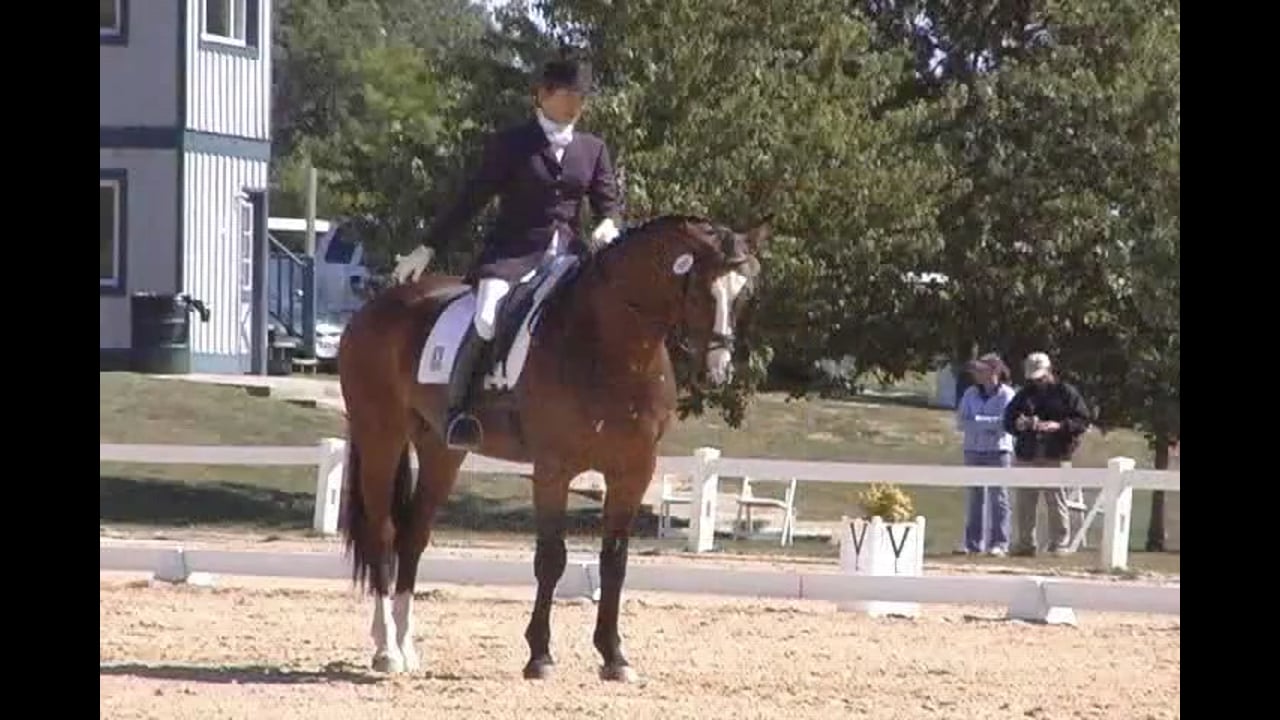 Judging FEI 6 Year Old Test | Natalie Lamping