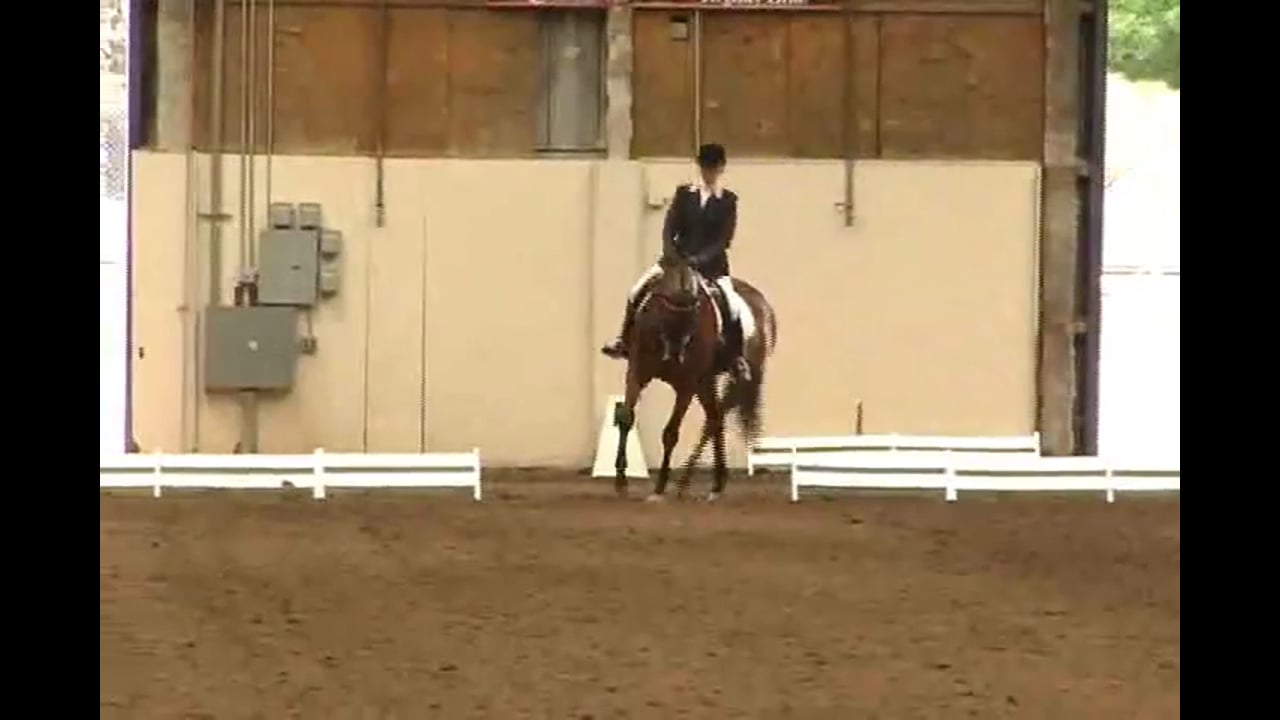 Judging USEF 4 yr. Old Test | Natalie Lamping