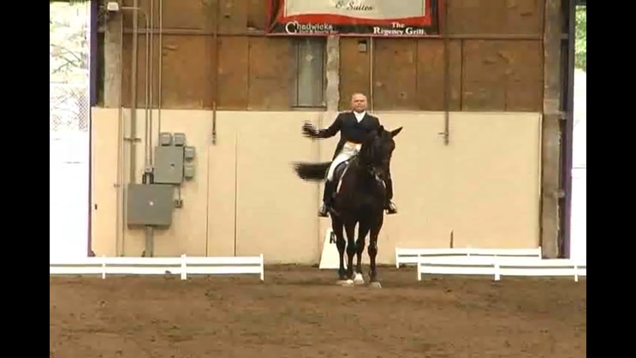 Judging Intermediare 1 Freestyle with Scores and Commentary | Natalie Lamping