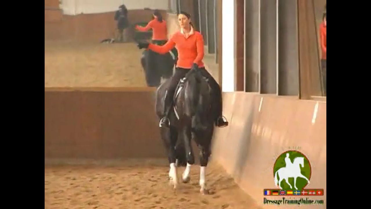 Neck Elevation and Frame | Catherine Haddad