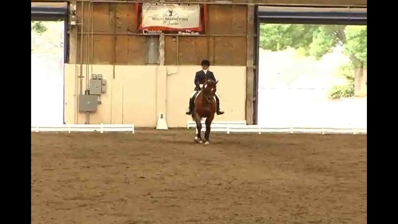 Judging Second Level Test 3 with Scores and Commentary | Natalie Lamping