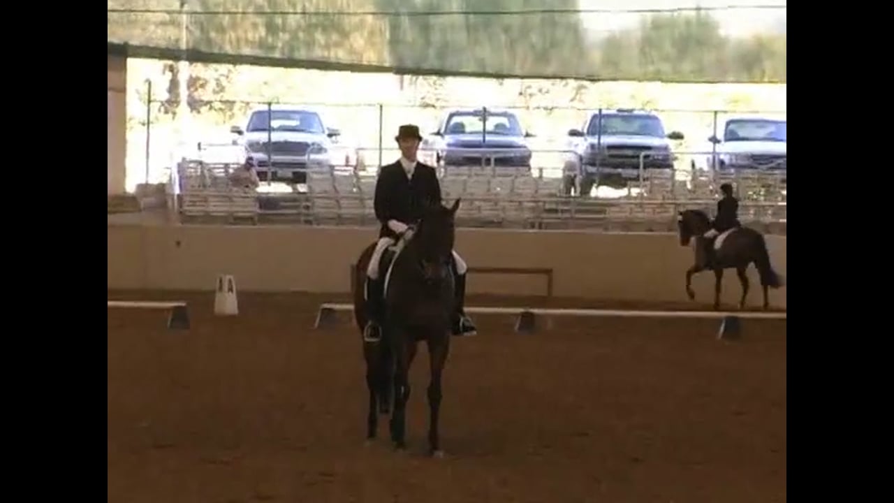 Judging Fourth Level Test 1 with Scores and Commentary | Natalie Lamping