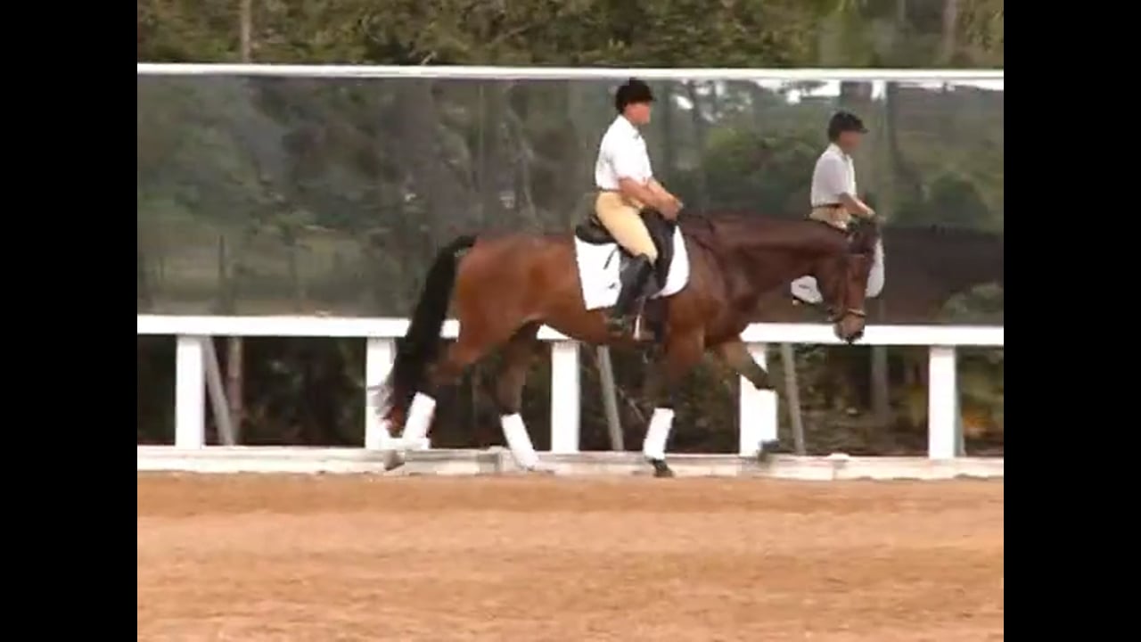 The Basics, Counter Canter, and Flying Changes | Nancy Later | PART 02