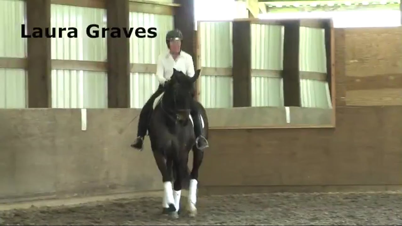 Nervous Energy | Laura Graves | PART 02
