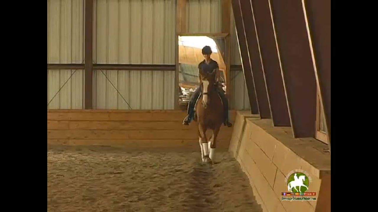 New Horse - Sensitizing to your aids | Courtney King-Dye | PART 02