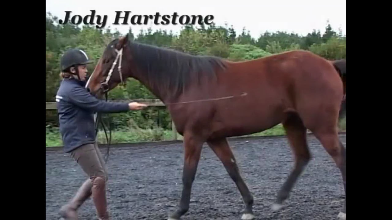 OTTB Groundwork | Jody Hartstone | PART 02