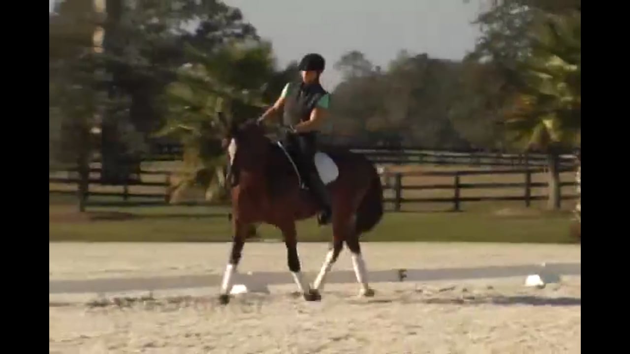 Opinionated Mare and Correcting the Balance | Axel Steiner | PART 03