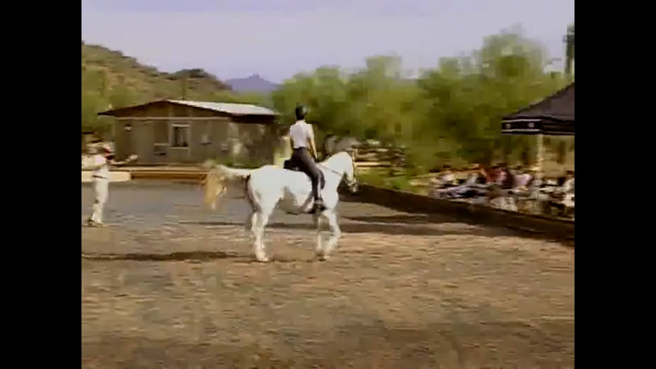 Transitions: Walk - Trot and Trot - Canter at A Level | Axel Steiner
