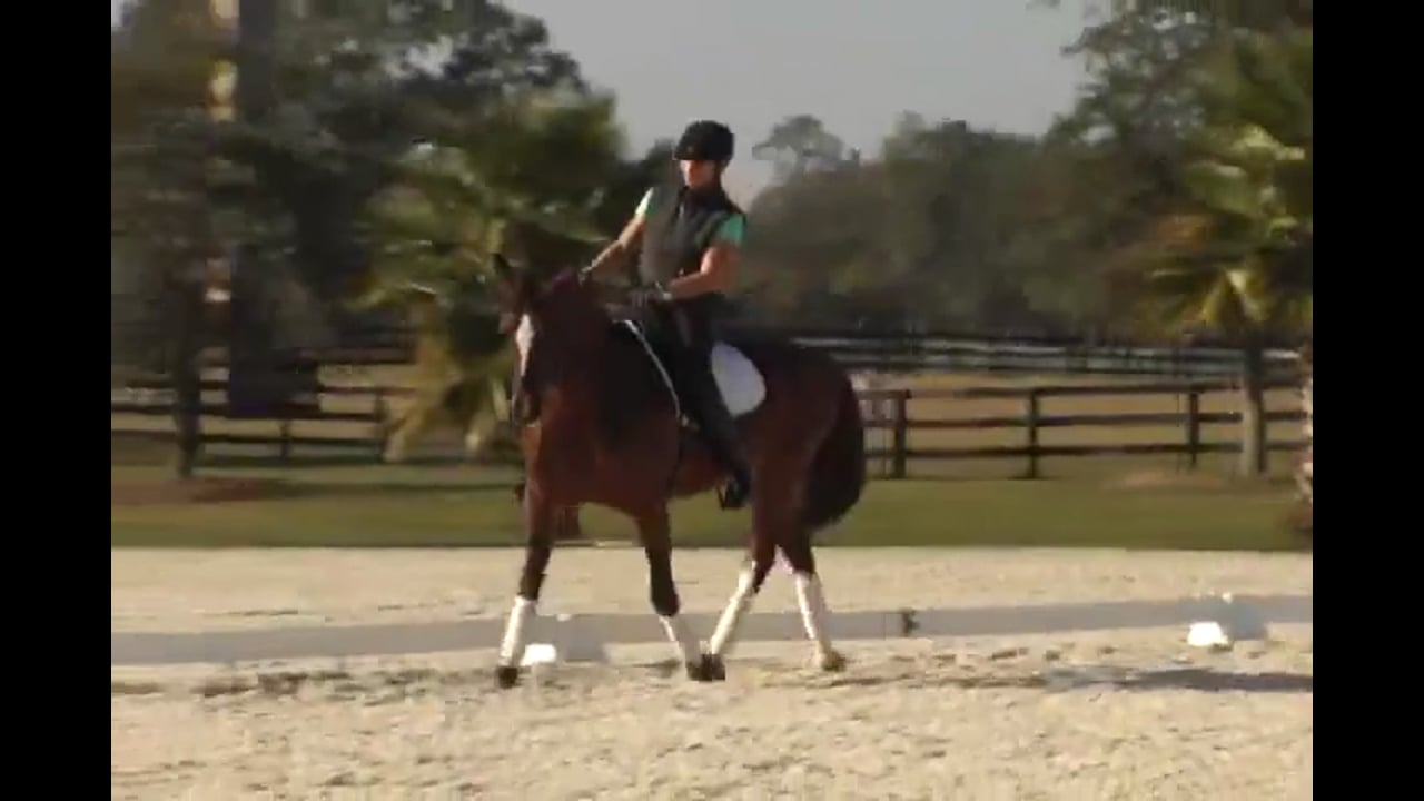 Opinionated Mare and Correcting the Balance | Axel Steiner | PART 02