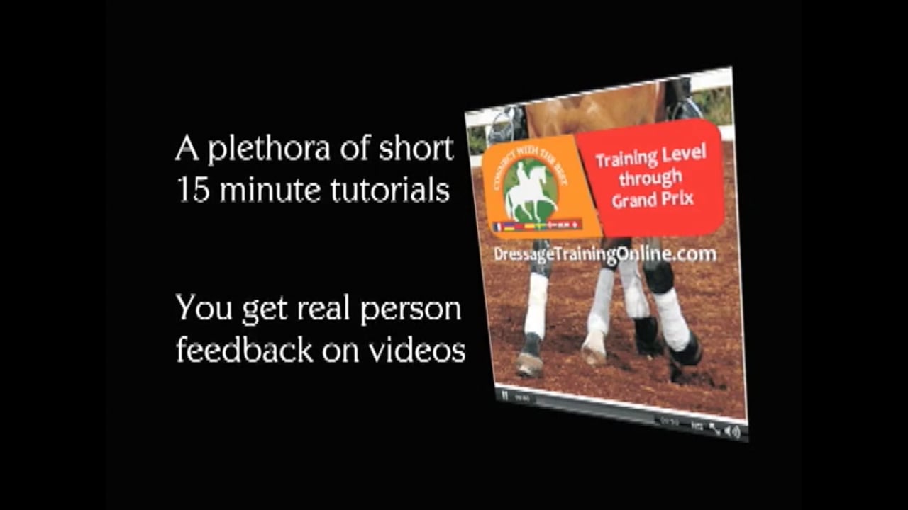 Paralympic Dressage Interview | Michal Assouline