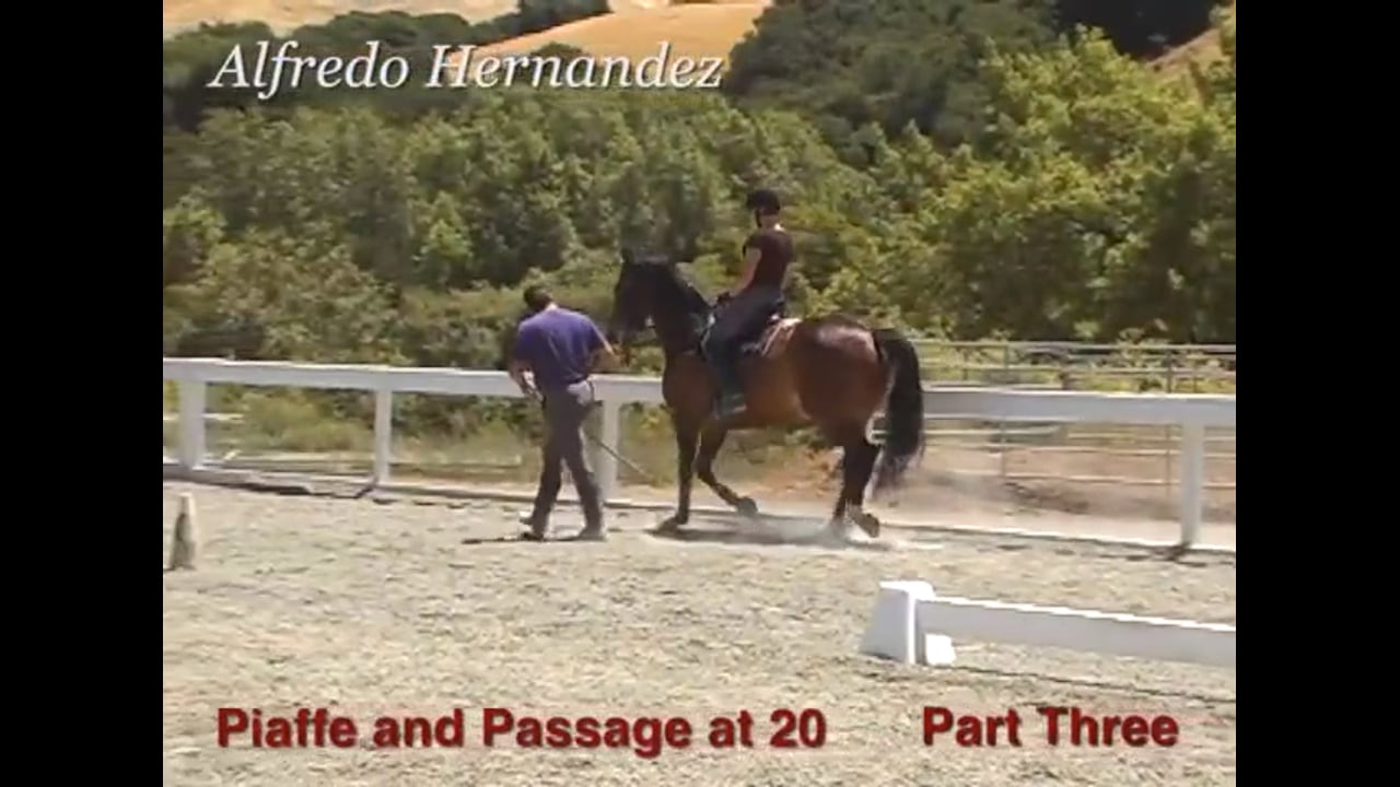 Piaffe and Passage at Age 20 | Alfredo Hernandez | PART 03