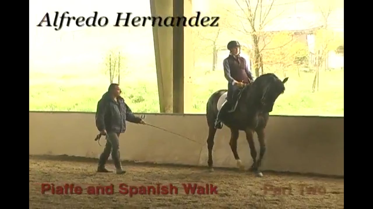 Piaffe and Spanish Walk Training | Alfredo Hernandez | PART 02