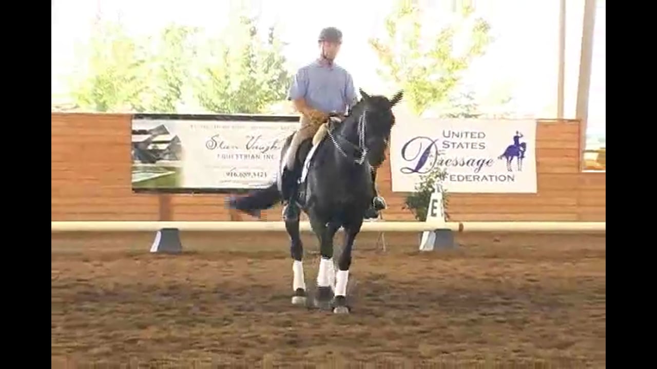 Piaffe and Passage Work | Alfredo Hernandez