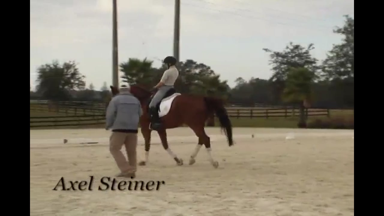 Pirouettes, Half Pass, Changes | Axel Steiner | PART 04