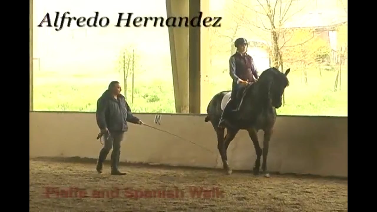 Piaffe and Spanish Walk Training | Alfredo Hernandez | PART 04