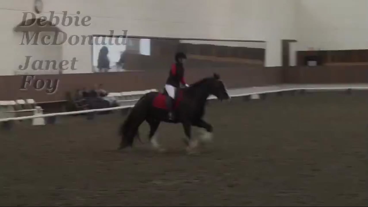 Para Dressage and Training Level Test 3 | Debbie McDonald & Janet Foy | PART 02