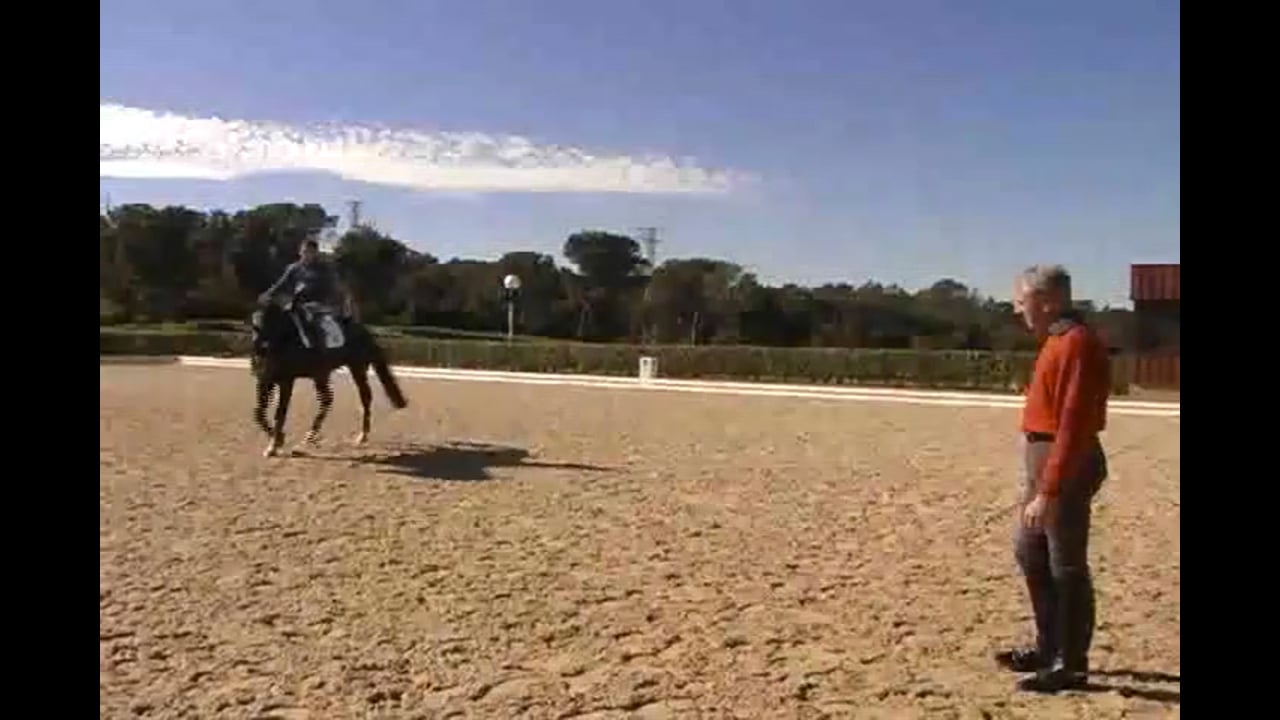 Riding a Hot Horse to the 2008 Olympics, Includes Comparative | Jean Bemelmans