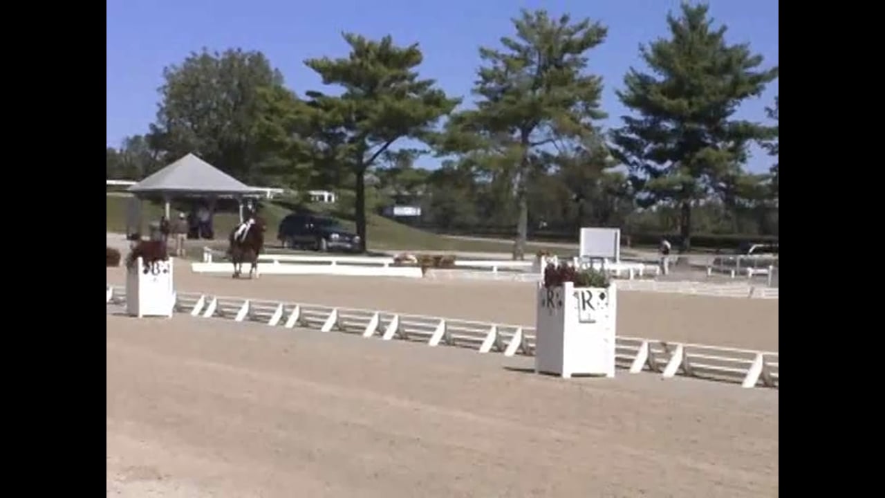 Judging FEI Developing Horse Test with Scores and Commentary | Natalie Lamping