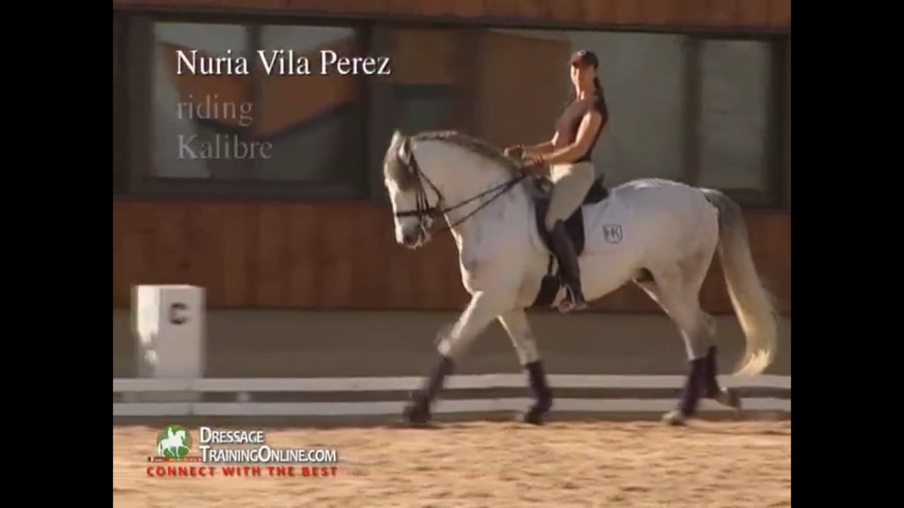 Piaffe/Passage, Lengthening, Half Pass & Pirouettes | Jan Bemelmans | PART 02