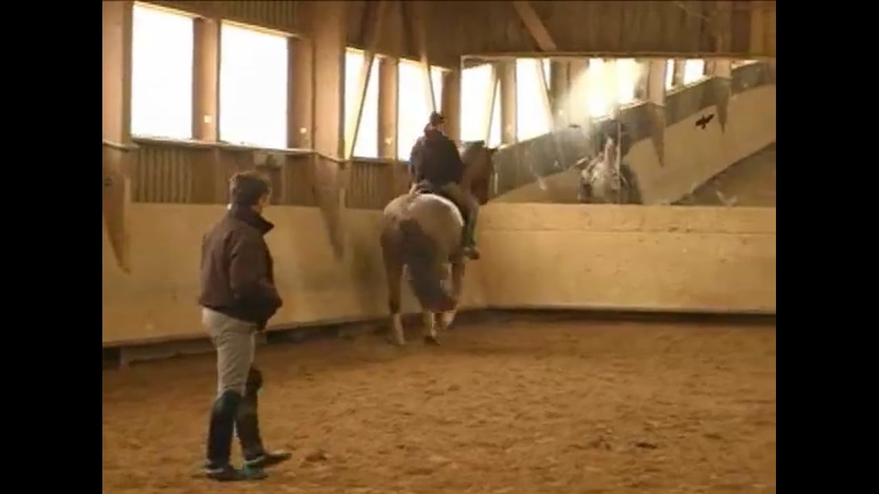 Piaffe Passage and Pirouettes | Martin Shaudt | PART 02