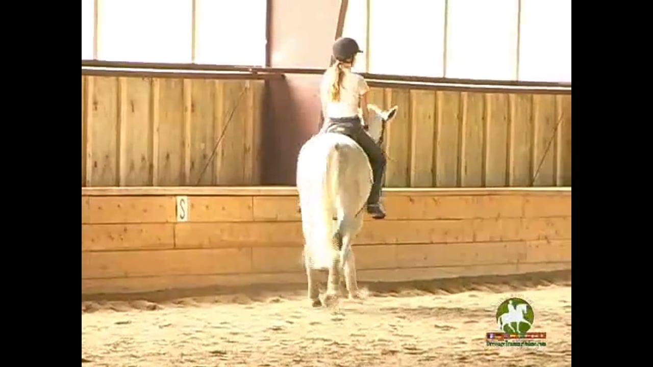 Position and Proper Bend | Courtney King-Dye | PART 06