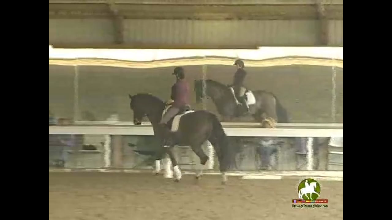 Position Work, Counter Canter, Changes | Catherine Haddad | PART 02