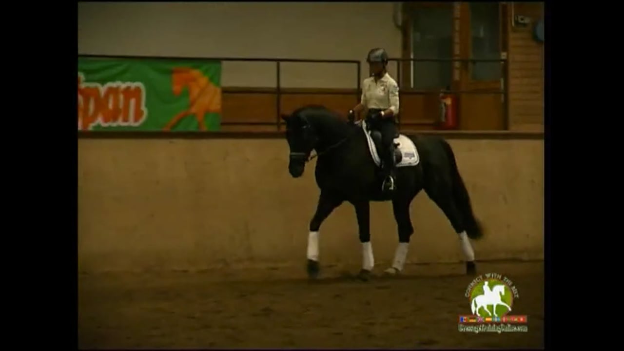 Pirouettes and Flying Changes | Peter Gmoser | PART 03