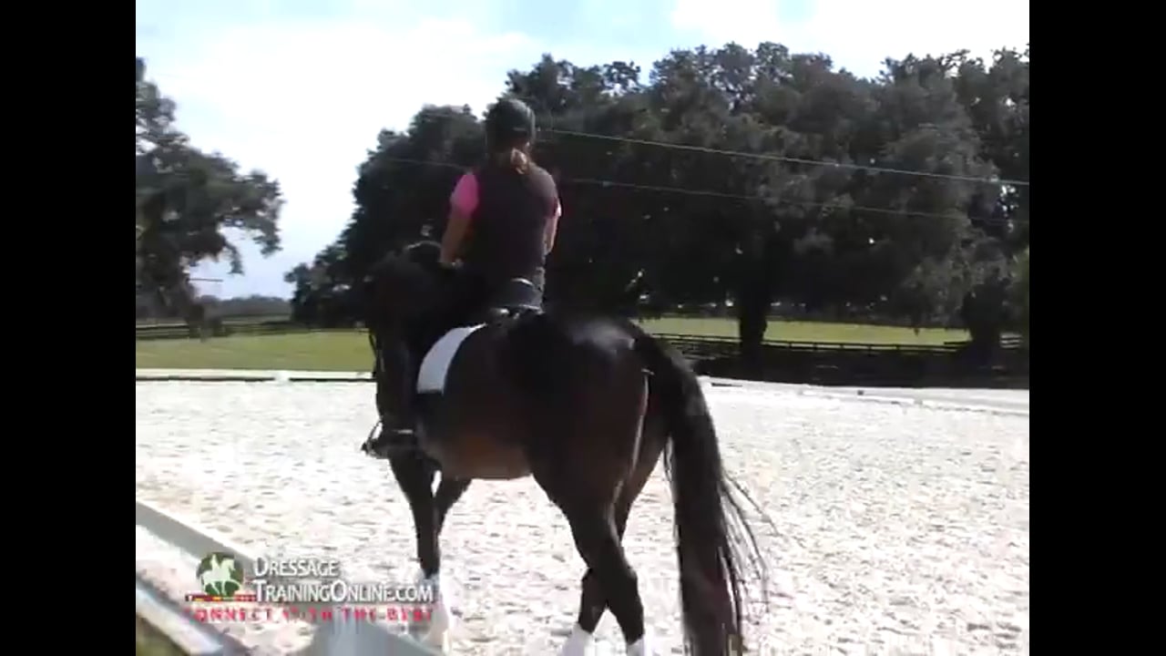 Practice Ride and Improving Fourth Level Test Two | Axel Steiner | PART 01