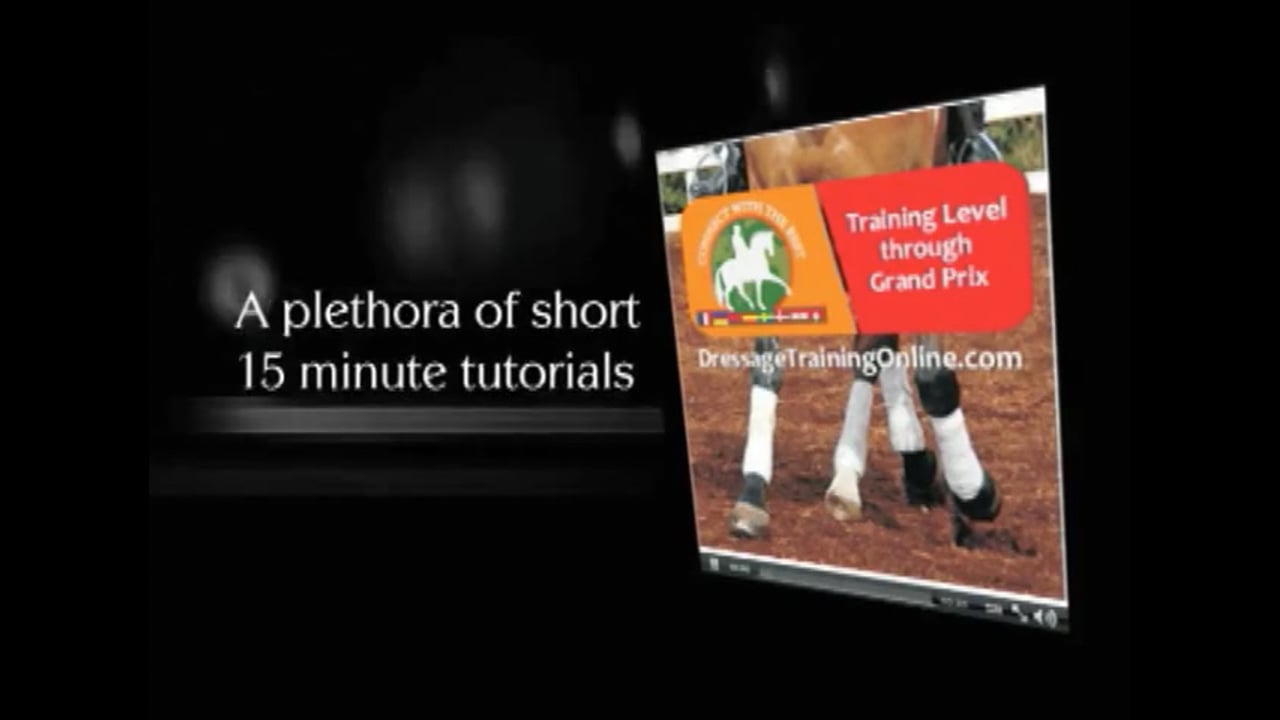 Pressure Release | Linda Parelli