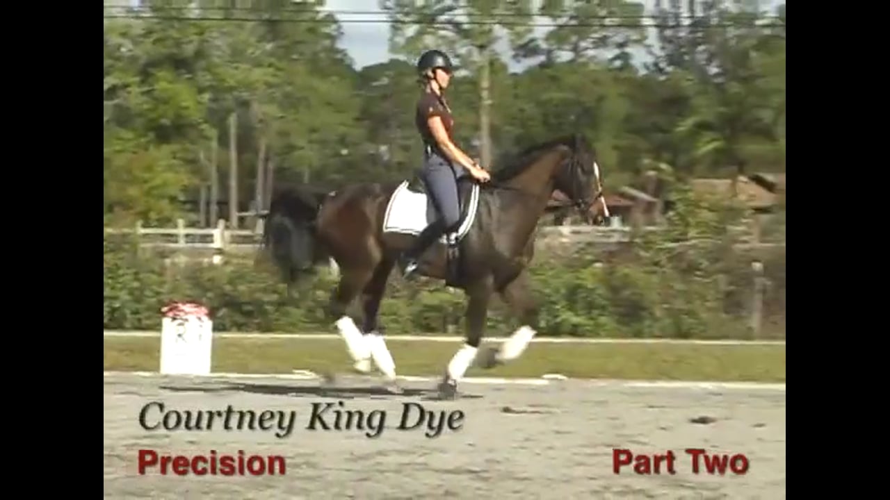 Precision at the Third Level | Courtney King-Dye | PART 02