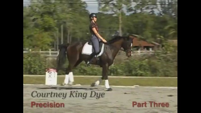 Precision at the Third Level | Courtney King-Dye | PART 03