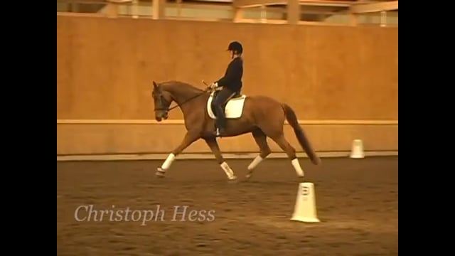 Prep for Flying Changes | Christoph Hess | PART 04