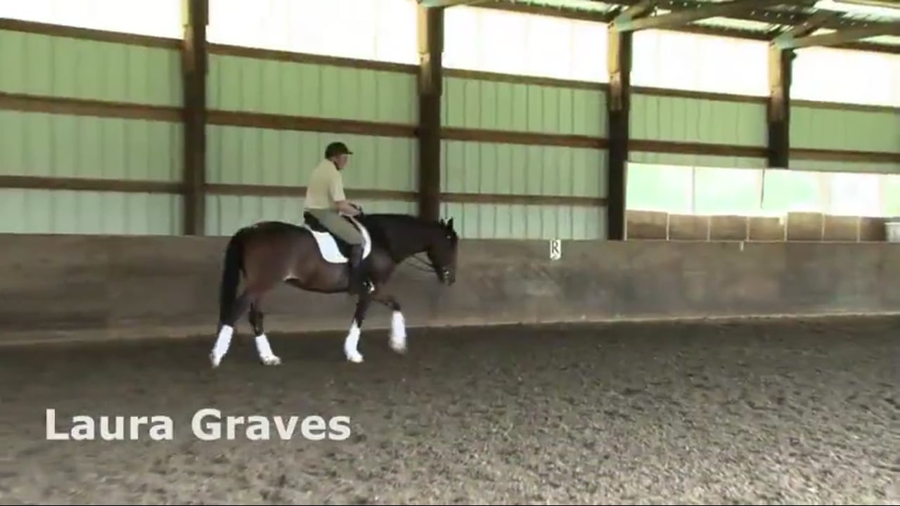 Position of the Ribcage | Laura Graves | PART 02