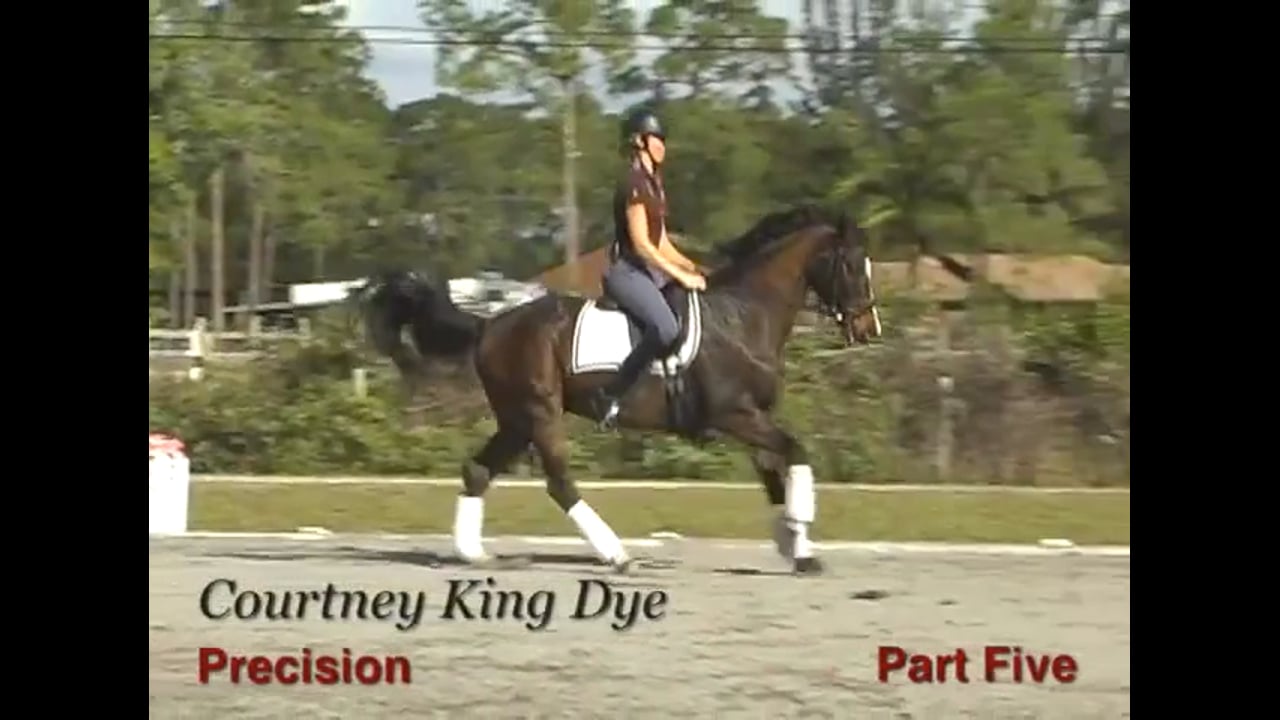 Precision at the Third Level | Courtney King-Dye | PART 05