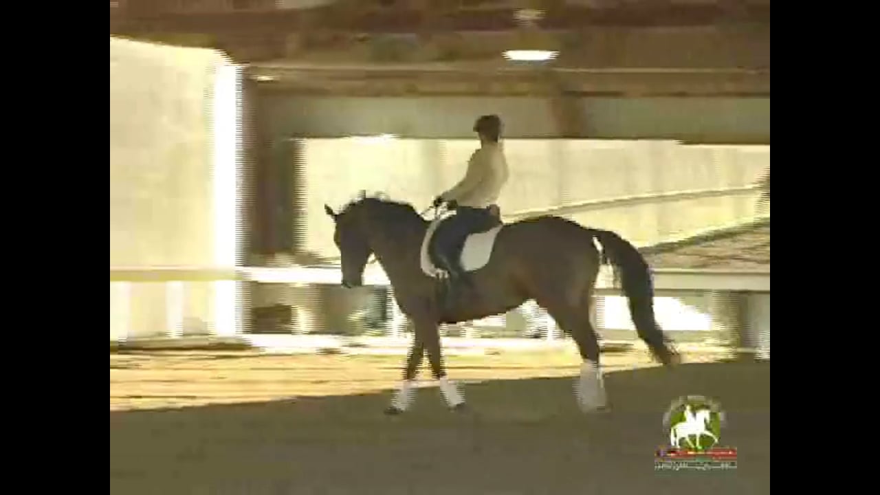 Proper Bend - Getting the Withers Up | Catherine Haddad | PART 02