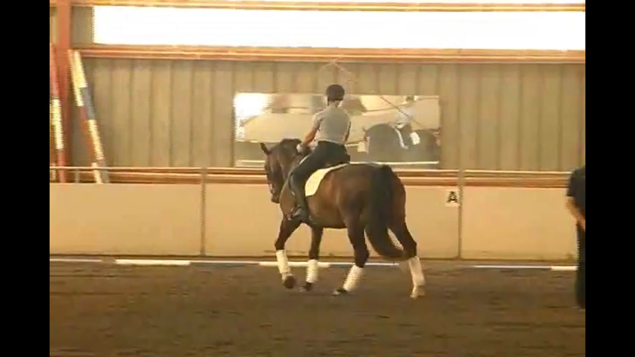 Proper body allignment and how it affects the horse. The importance of proper ti
