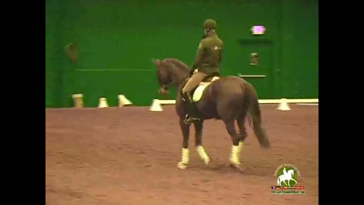 Proper Positioning of the Horse and Flying Changes | Jan Brink | PART 03