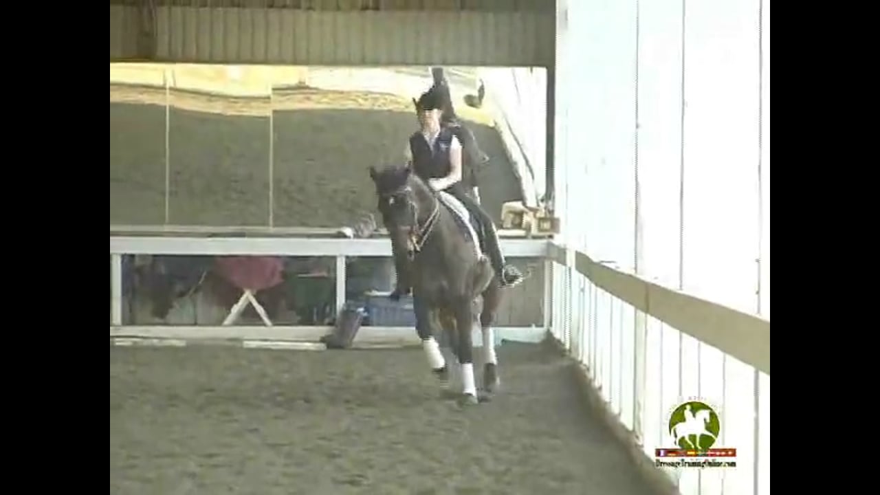 Proper Contact, Sitting the Trot | Catherine Haddad | PART 02