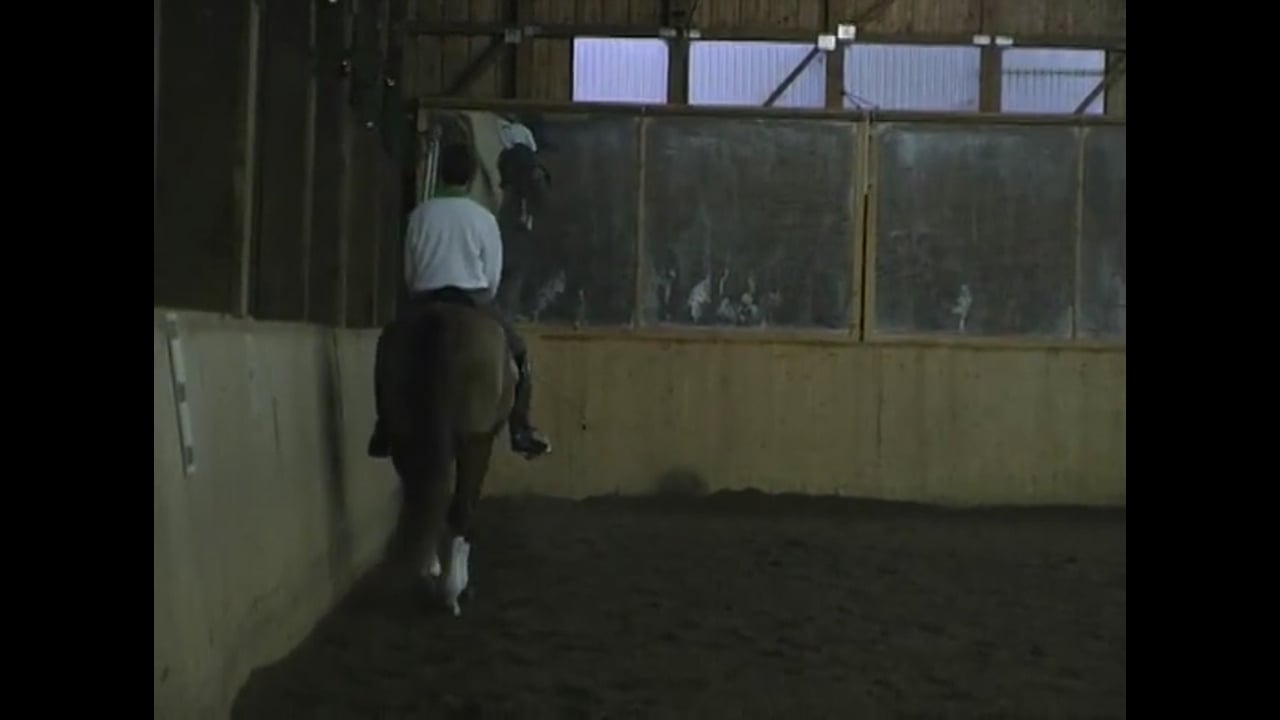 Lateral Work Quality & Improving the Walk Pirouettes | Guenter Zach | PART 02