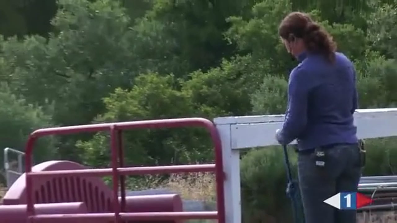 Quiet Hands | Catherine Haddad | TRAILER 02