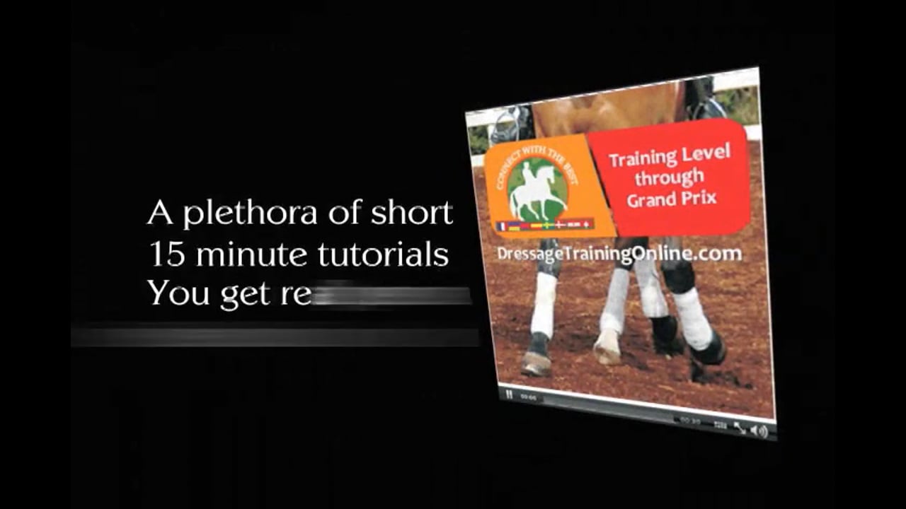 Piaffe and Spanish Walk Training | Alfredo Hernandez | PART 01