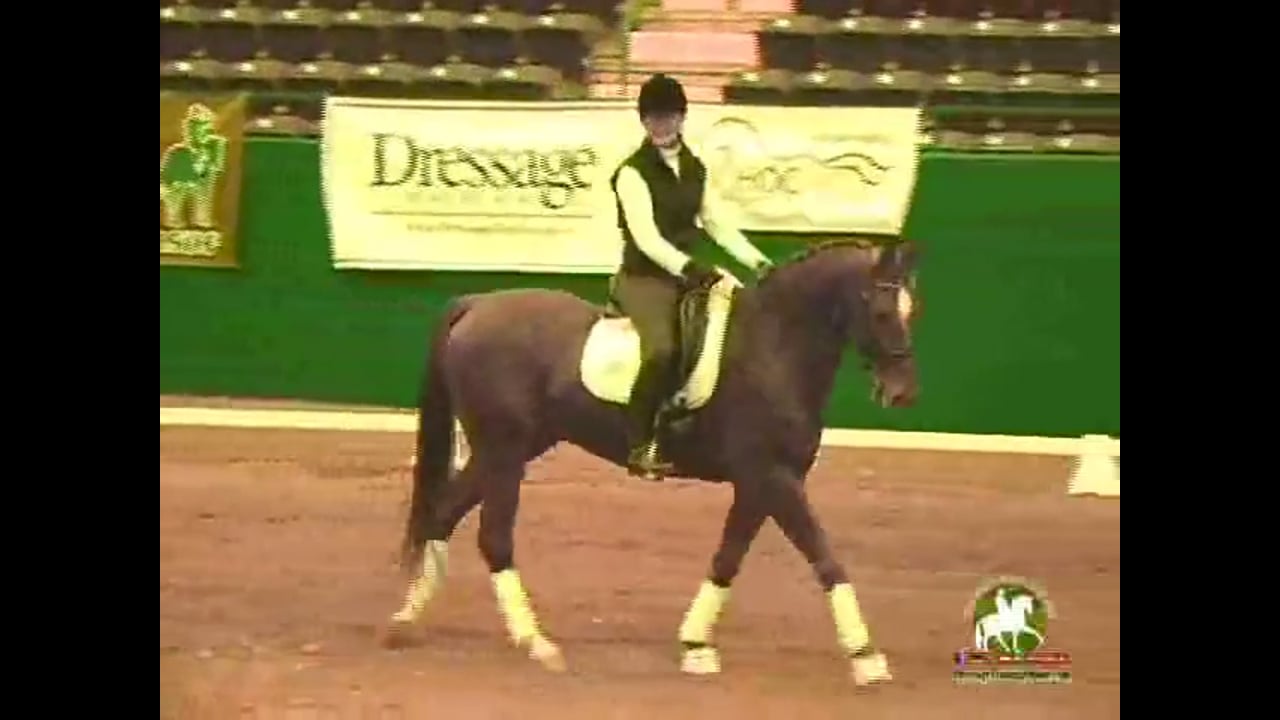 Proper Positioning of the Horse and Flying Changes | Jan Brink | PART 02