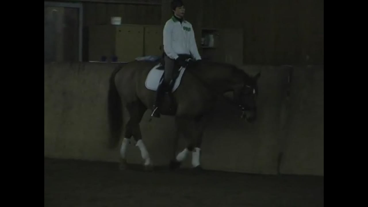 Lateral Work Quality & Improving the Walk Pirouettes | Guenter Zach | PART 03