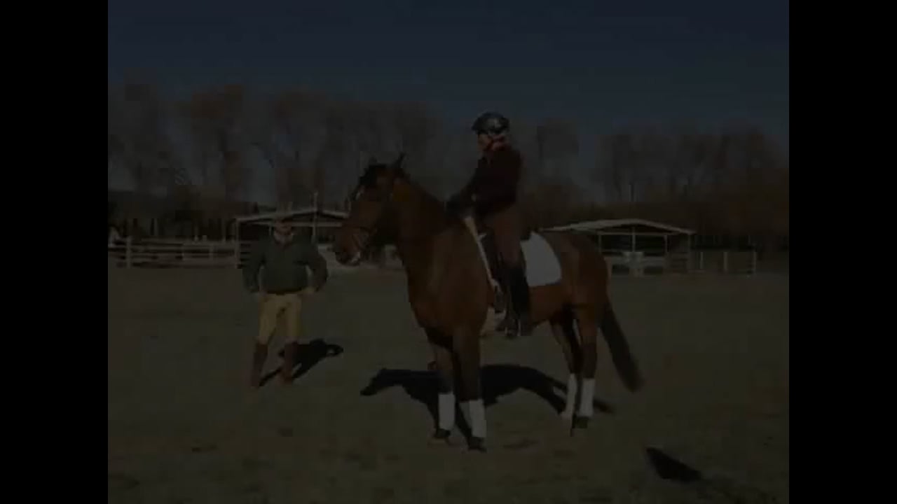 quality of the gait