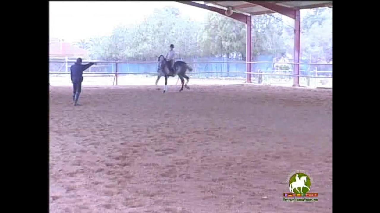 2nd level, Getting Control | Rafael Soto | PART 02