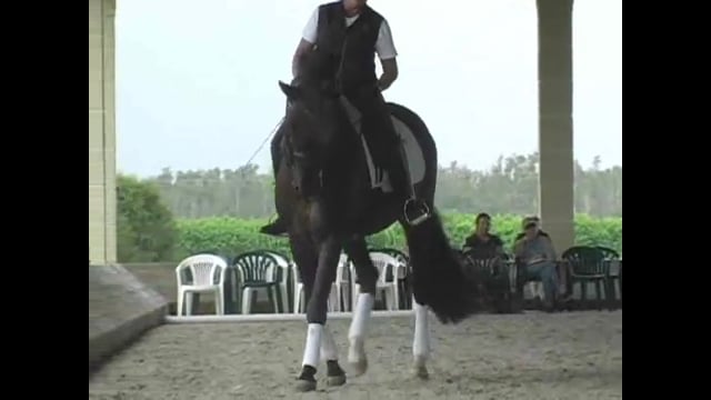 FEI, Straightness Through the Shoulder | Rafael Soto | PART 03